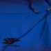 Spodenki startowe do Men's physique (fitness plażowe) ULTRAMARINE ciemny niebieski/granat